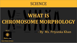 Chromosome Morphology BSc MSc Lecture by Ms Priyanka khan I Guru Kpo [upl. by Etteloc]