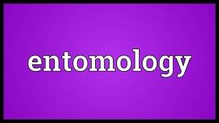 Entomology Meaning [upl. by Ylen]