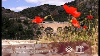 Bienvenue sur le Grand Site de France des Gorges de lHérault [upl. by Rizan986]