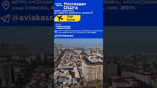 Авиабилет МоскваОш тел89650022228 travel news top тренды рек авиабилет aviabilet sarvarsux [upl. by Ayanet]