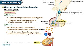 Female Infertility Ovulation Induction Agentsamp Other Agents in Ovulation Induction [upl. by Cicero]