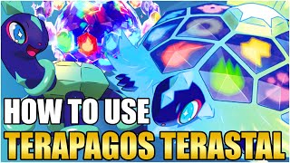 Best Terapagos Moveset Guide  How To Use Terapagos Competitive VGC Pokemon Scarlet and Violet [upl. by Ruelle613]