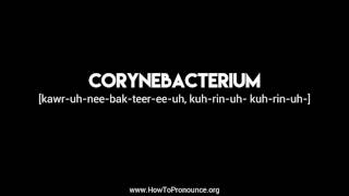 How to Pronounce quotcorynebacteriumquot [upl. by Brey896]