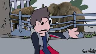 me at the zoo animated [upl. by Inaliak]