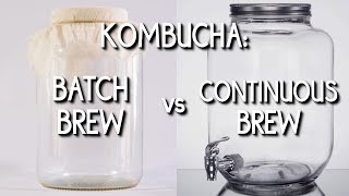 Kombucha Batch Brew vs Continuous Brew [upl. by Scheld]