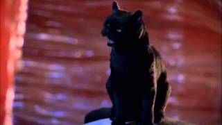 The Best Of Salem Sabrina The Teenage Witch [upl. by Rudolf]