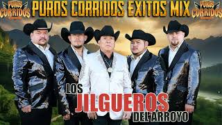 Los Jilgueros Del Arroyo Mix Para Pistear  Puros Corridos Mix 2024 [upl. by Shafer]