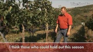 Merlot dülő Wine Princess Balla Géza with english subtitle [upl. by Rogerio786]