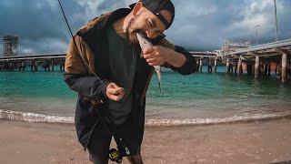 Fishing Marsden Point Refinery for Kahawai using lures off the beach [upl. by Mab732]