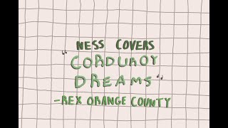 corduroy dreams  rex orange county cover [upl. by Hgielar]