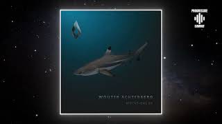 Wouter Achterberg  Mutations Extended Mix Purified Records [upl. by Ocsic]