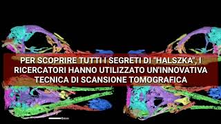 Il dinosauro semiacquatico svelato da un acceleratore di particelle Halszkaraptor escuilliei [upl. by Valentine]