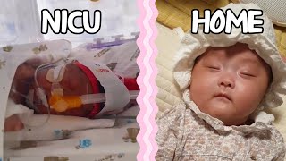 Baby born at 26 Weeks  NICU [upl. by Dobb]