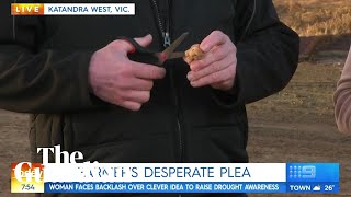 Farmer cuts up rare Woolworths Lion King ooshies on live TV [upl. by Oicaroh]