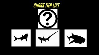 The Shark Tier List [upl. by Zertnom]