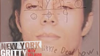 New York Zodiac Killer Evaded Cops for Years [upl. by Yauq]