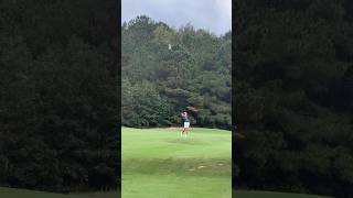 Best sound in golf golf shorts [upl. by Aloz]