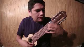 For no one  Beatles  fingerstyle hatun charango by Alejandro Ataucusi [upl. by Heck951]