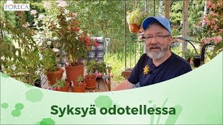 Syksyä odotellessa [upl. by Amedeo]