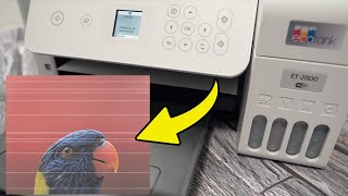 How to Fix Epson EcoTank Printing Lines amp Stripes [upl. by Stevie]