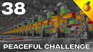 Peaceful Challenge 38 Large Honey Tunnel Bore [upl. by Anivram]