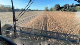 Knocking out Acres [upl. by Sillsby]