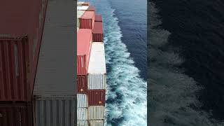 Pacific ocean containership🌊🚢containership msc travel explore merchantnavy views subscribe [upl. by Entroc]