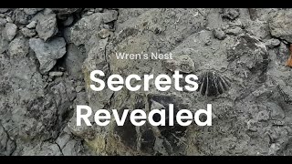 Wrens Nest Secrets Revealed [upl. by Ramona]