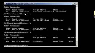 Windows command line networking netstat [upl. by Sidnal854]