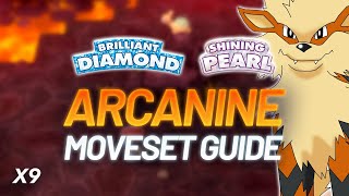 HOW TO USE ARCANINE IN BDSP VGC AND BATTLE TOWER  Pokemon Brilliant Diamond Shining Pearl Guide [upl. by Undry]