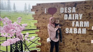 Family Vlog di Desa Dairy Farm 2024 ada Tema Chinese New Year [upl. by Risay462]