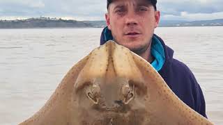 RAY FISHING BRISTOL CHANNEL💥🎣 [upl. by Sharon120]