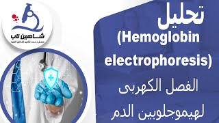 Hb Electrophoresis تحليل [upl. by Ahseiyt]