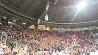 videotifo FOSSA DEI LEONI Fortitudo vs treviso a casa radicchi aBolognanonsifesteggia [upl. by Nilekcaj251]