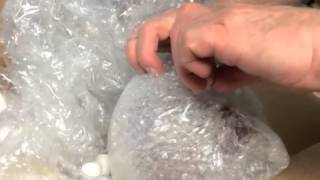 The unBoxing of Buster Ash [upl. by Valora]