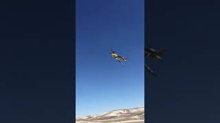 P51 Mustang Low Pass pure engine sound and muzzle whistle [upl. by Ahseenat]