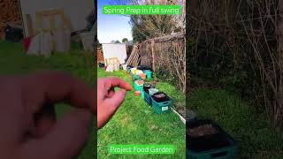 Spring Prep in full swingSE5Project Food Garden [upl. by Pearse]