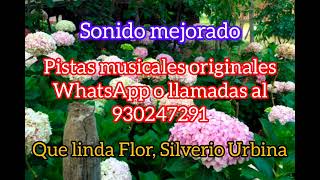 Que linda flor Silverio Urbina Pistas musicales [upl. by Frodine]