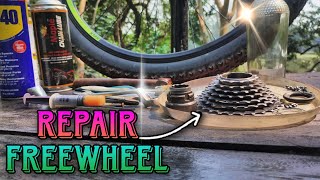 How To Repair Freewheel amp Service  Fix Wobbling Problem  Spin Both Way  Overhaul mtb aboutMTB [upl. by Anuat]