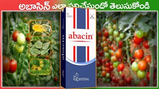 Abacin Insecticide in Telugu  Crystal Abacin  Abacin Insecticide Combintation  Agriculture [upl. by Domel991]