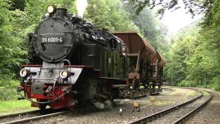 99 6001 mit Rollwagen in Steinerne Renne [upl. by Orutra]