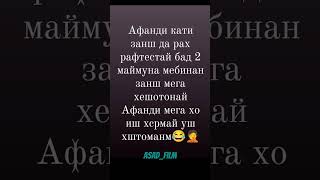 Чор мисраи ногуфта барои саломатии хама asadfilm хит rek тикток kulob love дуэт юмор ремикс [upl. by Peckham]