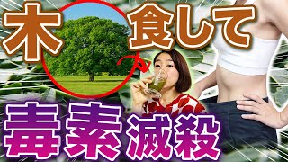 【知らないと損】メリットありすぎ！飲める木「モリンガ」でうんちも毒素も全排出！！【便秘解消】 [upl. by Ahsiuqel]