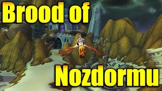 Brood of Nozdormu reputation farm guide [upl. by Nosrej583]