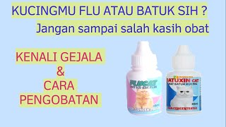 Perbedaan Batuk dan Flu Pada Kucing  Kitty Pedia [upl. by Mareld]