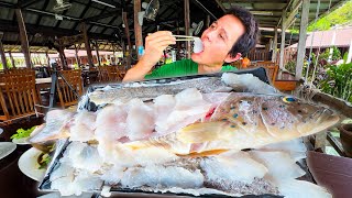 Thailands Freshest Seafood 🐠 CORAL GROUPER Cooked in 3 Dishes  Island Thai Food [upl. by Epilif]