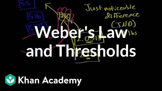 Webers law and thresholds  Processing the Environment  MCAT  Khan Academy [upl. by Ddart]