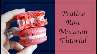 Praline Rose Macaron Tutorial  FRENCH CANDIED ALMOND INSPIRED MACARONS  Recipes Included [upl. by Eisso]