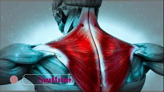 Muscle Spasm Pain Relief Frequency  Isochronic Binaural Beats  15 Min Rife Healing Treatment [upl. by Guria]