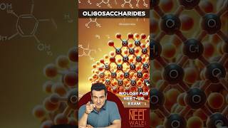 Oligosaccharides  structure And classification  Biomolecule  class 11th  NEET BIOLOGY  neet [upl. by Harwell]